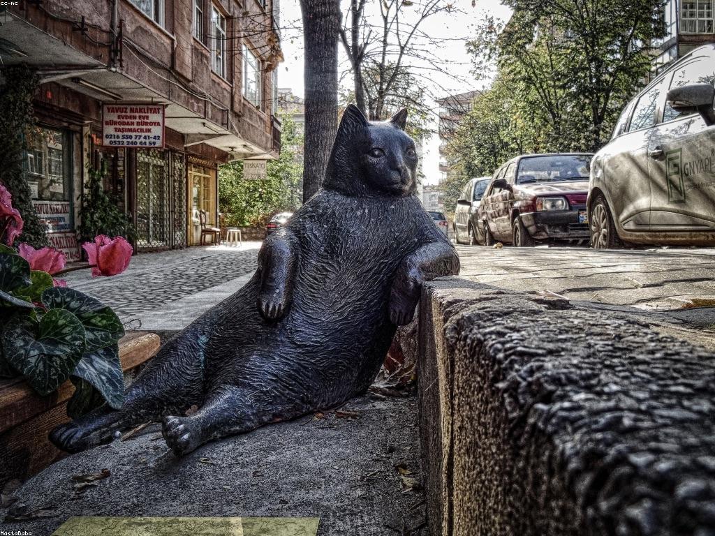 ការស្វែងរកយុទ្ធសាស្រ្តសម្រាប់ការលេងផែនទី