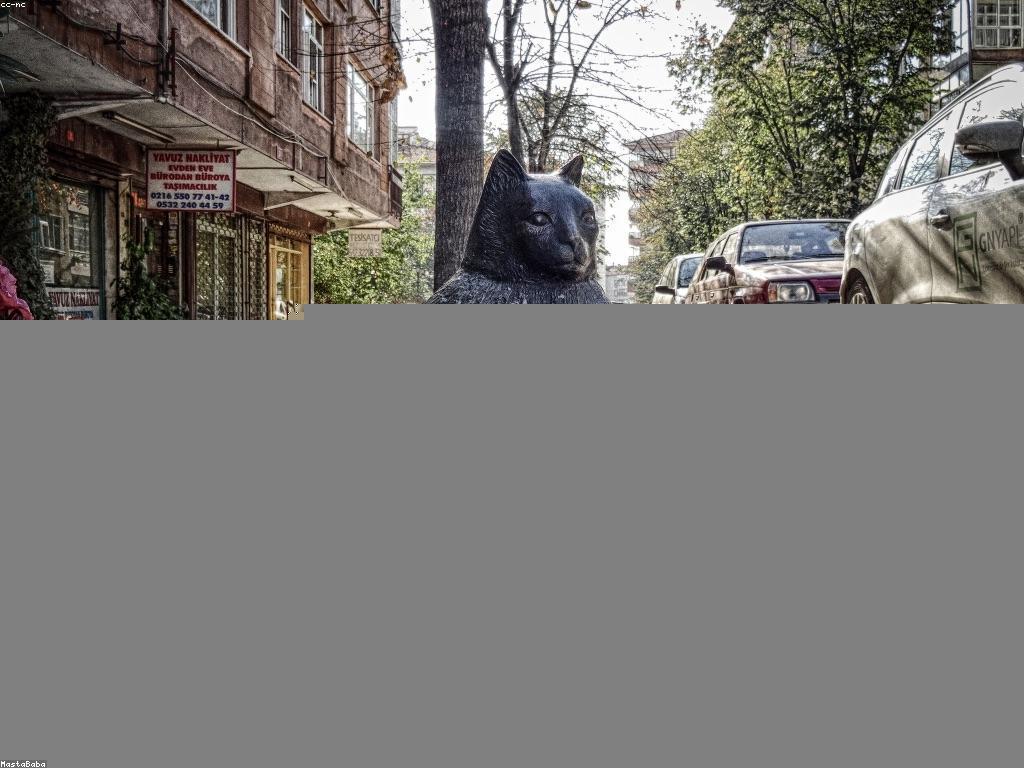 ការលេងផែនទី: ផ្តើមការកំសាន្តជាមួយផែនទីនិងការលេងល្អ