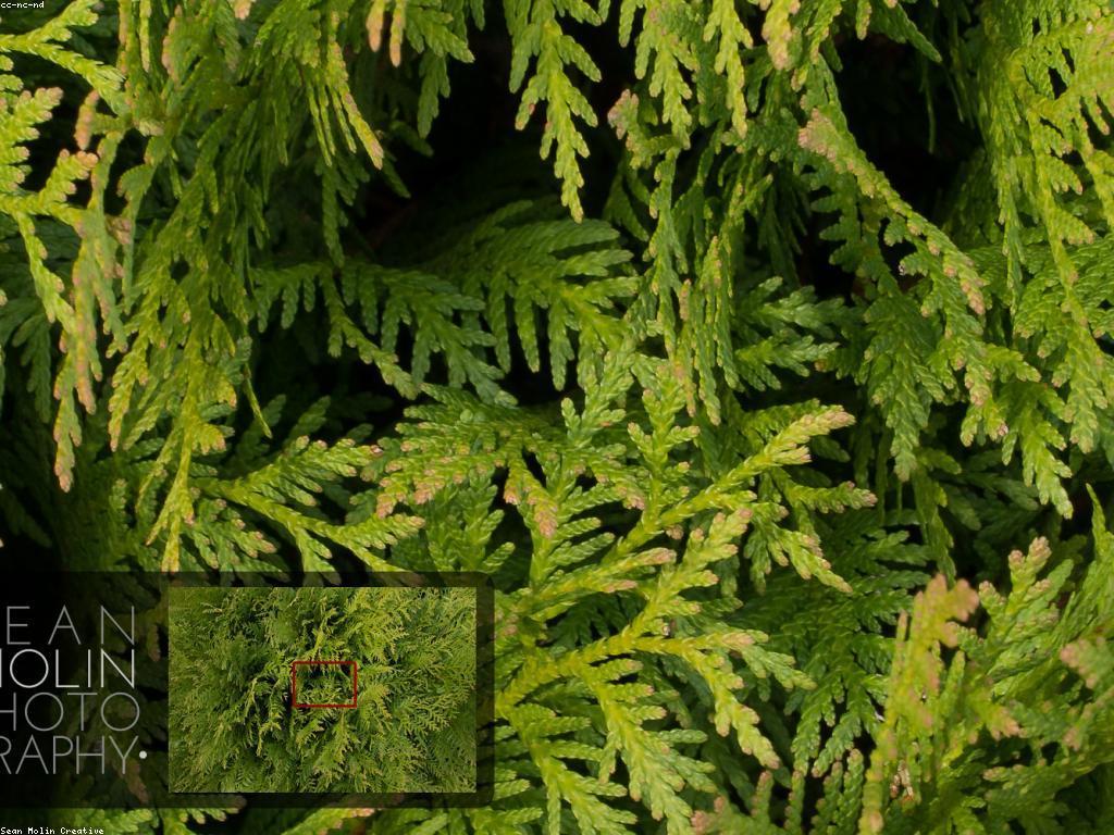 វិធីសាស្ត្រទ្រង់ទ្រាយ